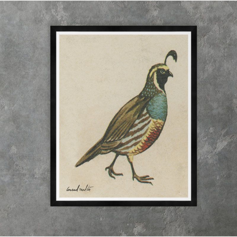 Quail Print