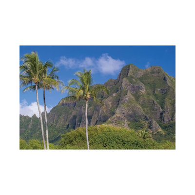 Palm Trees With Mountain Range In The Background, Tahiti, French Polynesia I by Panoramic Images - Wrapped Canvas Print