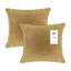 Ensemble de 2 coussins décoratifs en velours hypoallergénique avec fermeture à glissière cachée-1236215883-1235271046