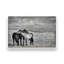 Ensemble de 2 impressions sur toile Free Spirits-424095655-424095673