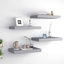 Arsis 4 Piece Metal Floating Shelf-674972817-674972822