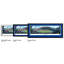 Seattle Seahawks sur papier-577698144-577698150-577698151
