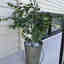Photos des clients 1 de 1