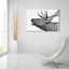 «Deer» par PhotoINC Studio-1307993696