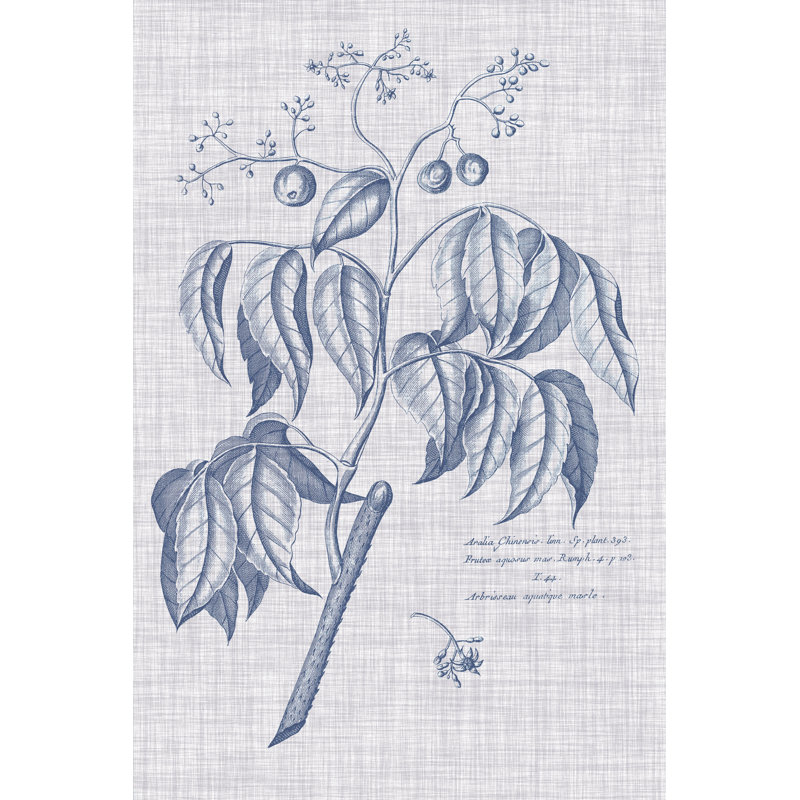 Navy & Linen Botanical IX by Vision Studio - Wrapped Canvas Print, 46cm H x 30cm W x 3.8cm D