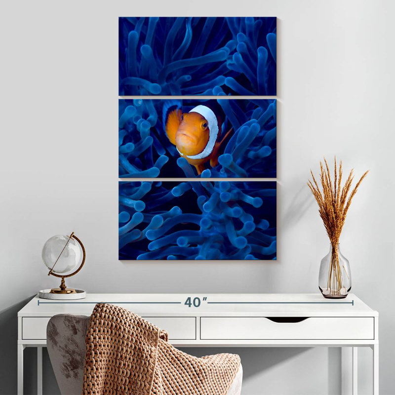 Brampt Blue Anemone Clownfish, 32" H x 20" W