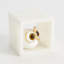 Alabaster Big Eyed Owl in Cube-Sm