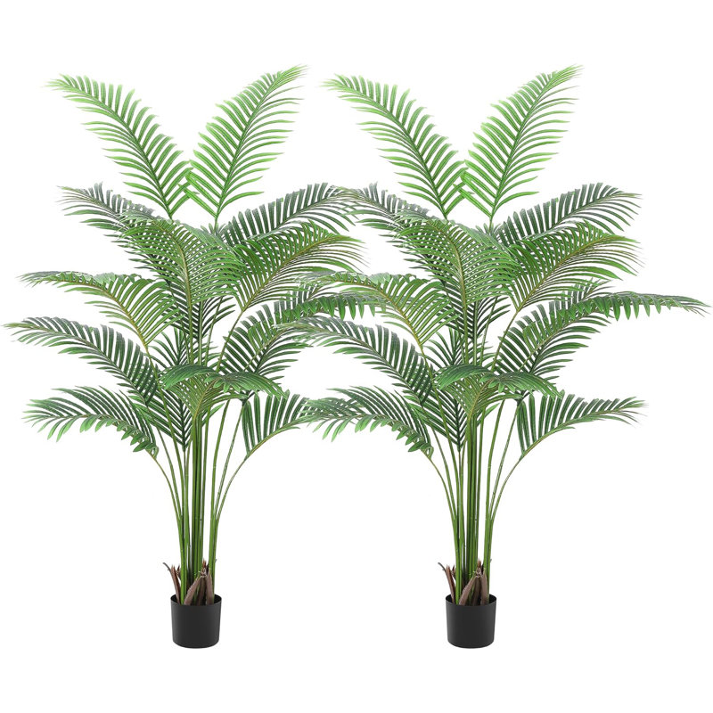 183cm Plant