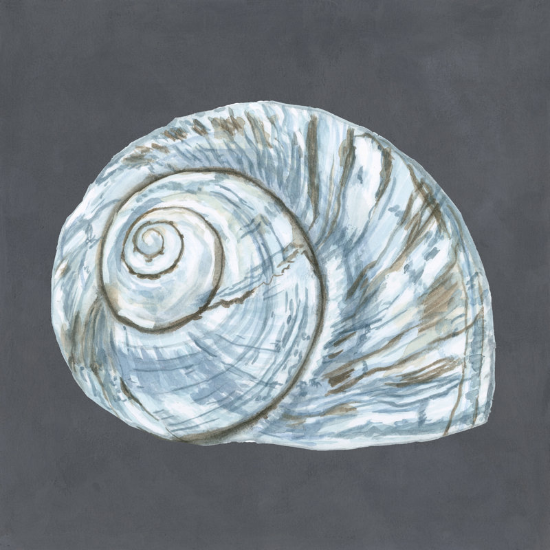 Shell On Slate VIII by Megan Meagher - Wrapped Canvas Painting, 30cm H x 30cm W x 3.8cm D