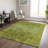 Azania Washable Floral Indoor / Outdoor Rug-254139728