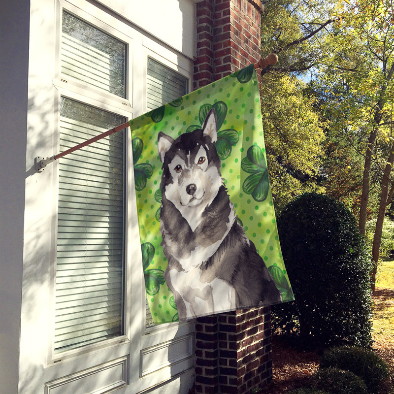 40 x 28 po en polyester à 2 côtés de la st patrick drapeau maison, Malamute d’Alaska noir