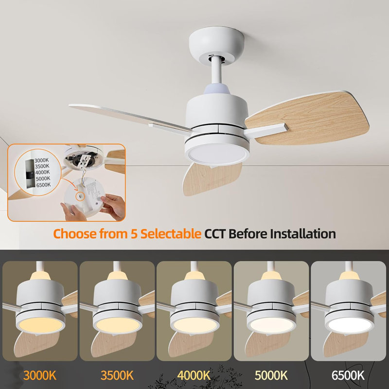 Gupta 32'' Ceiling Fan with LED Lights