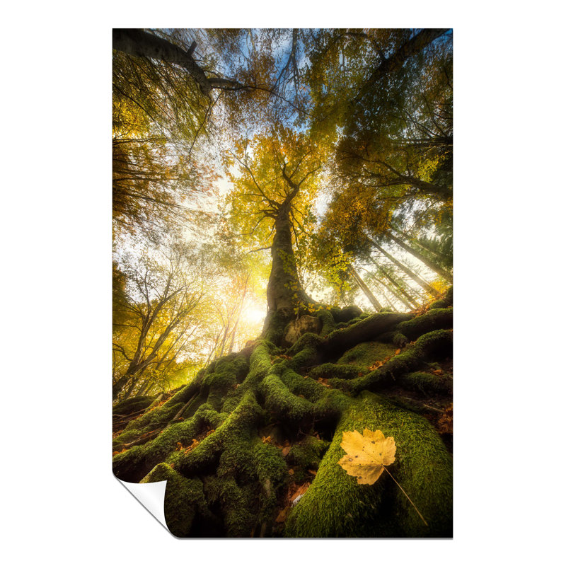 Panther Print Fine Art Prints - No Frame Print, 31cm H x 20cm W