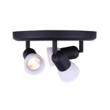 Projecteur directionnel en grappe 10 po à 3 lumières Adira