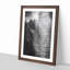 Mighty Elephant in the Shadows - Picture Frame Painting Print-56737804-56737805
