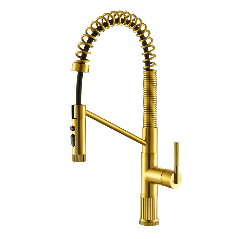 Nette Single-Handle Kitchen Faucet with Pull Down Sprayer, Brushed Gold
