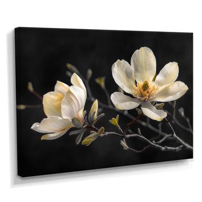 Rodriguez - Magnolias Wall Decor