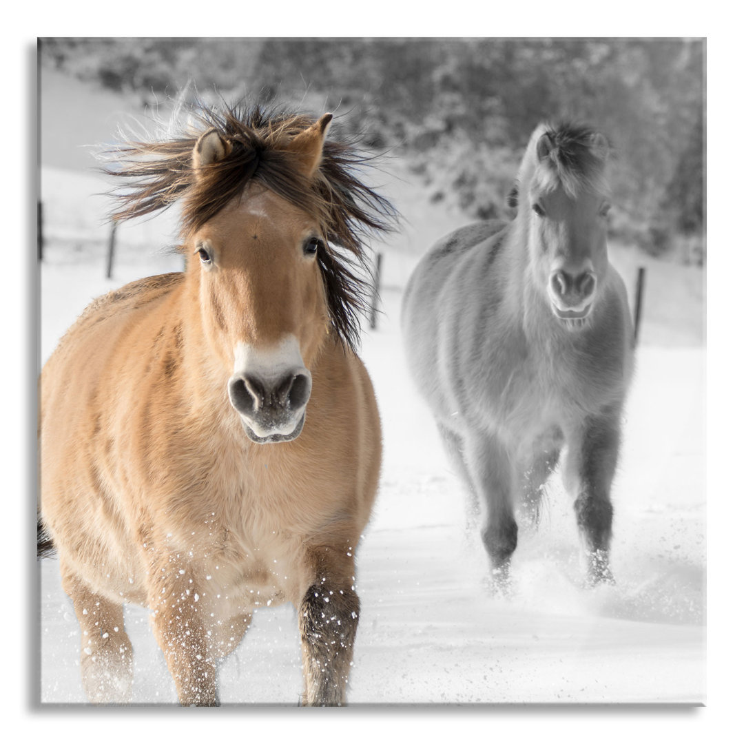 Glasbild Zwei Schöne Ponys im Schnee