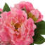 Dahlia Arrangement-384965330