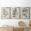 «Antique Black and White Botanical IV», ensemble de 3 peintures sur toile encadrées-508101477-508101478