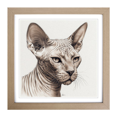 Sphynx Cat Drawing No.1 - Framed Print