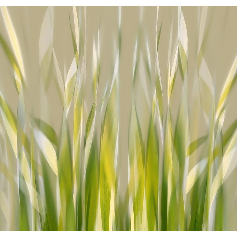 Wrapped Canvas Print, 50.8cm H x 76.2cm W