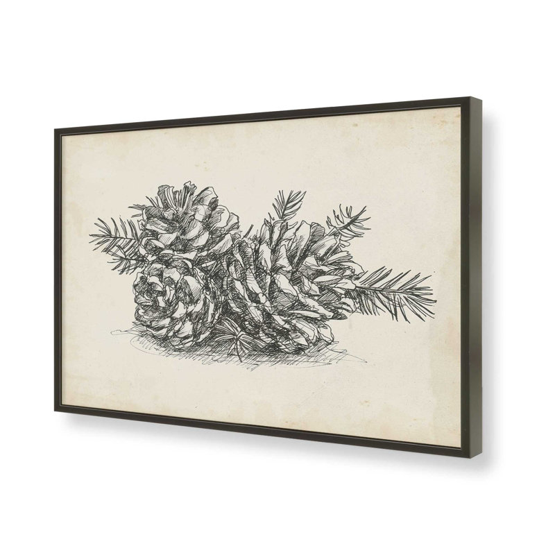 «Christmas Conifers II» par Ethan Harper, reproduction d'art, H 8 po x l 12 po, Cadre à joints visibles, Noir