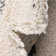 Knupp Abstract Indoor Rug