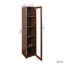 Vitrine avec portes en verre, armoire de rangement Curio avec 5 tablettes, bibliothèque avec lumières DEL