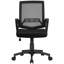 Mesh Desk Chair-2109110543
