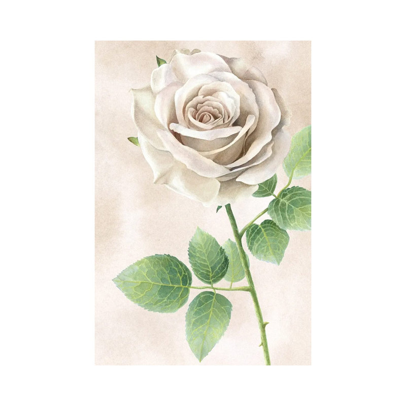 Ivory Roses Panel II by Kelsey Wilson - Wrapped Canvas Print, 20.32 cm H x 30.48 cm W