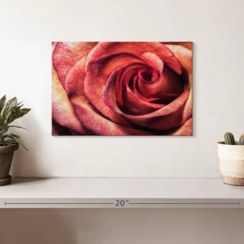 Rose magnifique Harnek, H 8 po x l 12 po