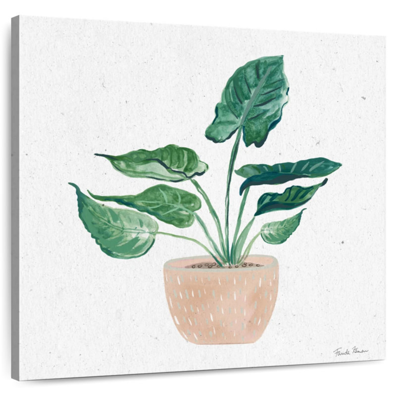 Harnek Home Garden