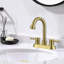 2-handle Bathroom Faucet with Drain Assembly-90763949