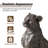 23.25''H MGO Bronze Leopard Statue