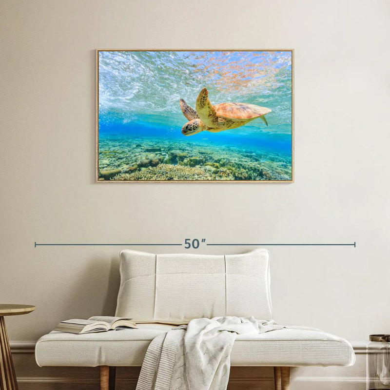 Plongée tortue, Cadre flottant en bois naturel, 37 po x 25 po