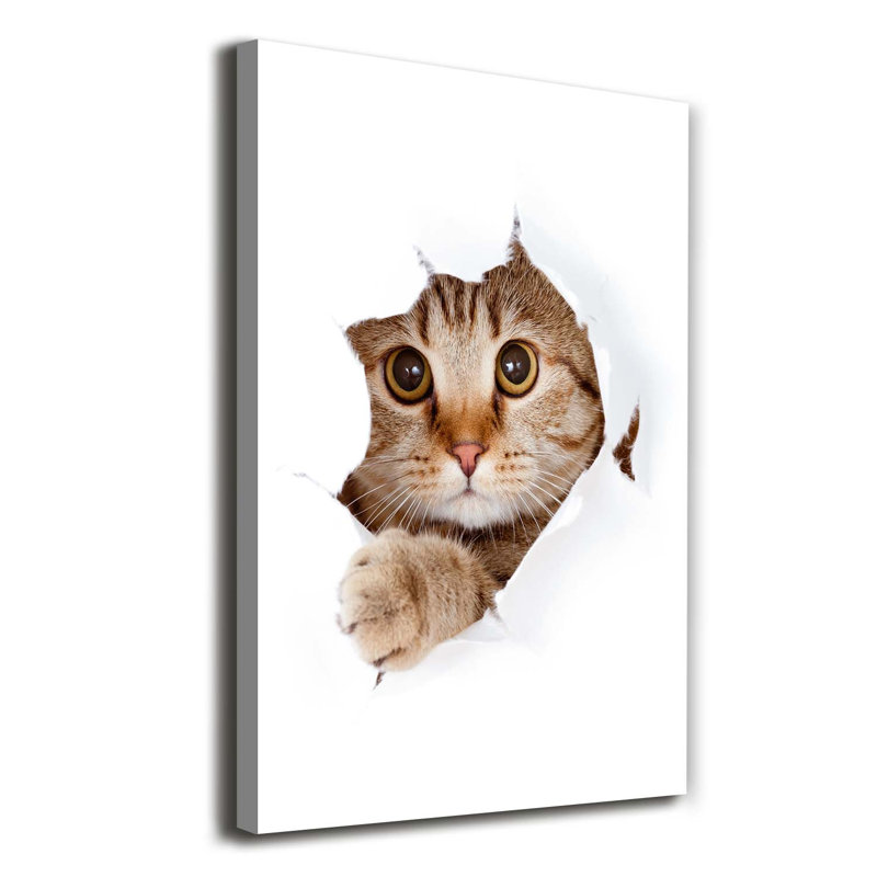 Cat - Wrapped Canvas Print