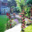 Jardin arborant un treillis qui supporte les plantes grimpantes-1552379415