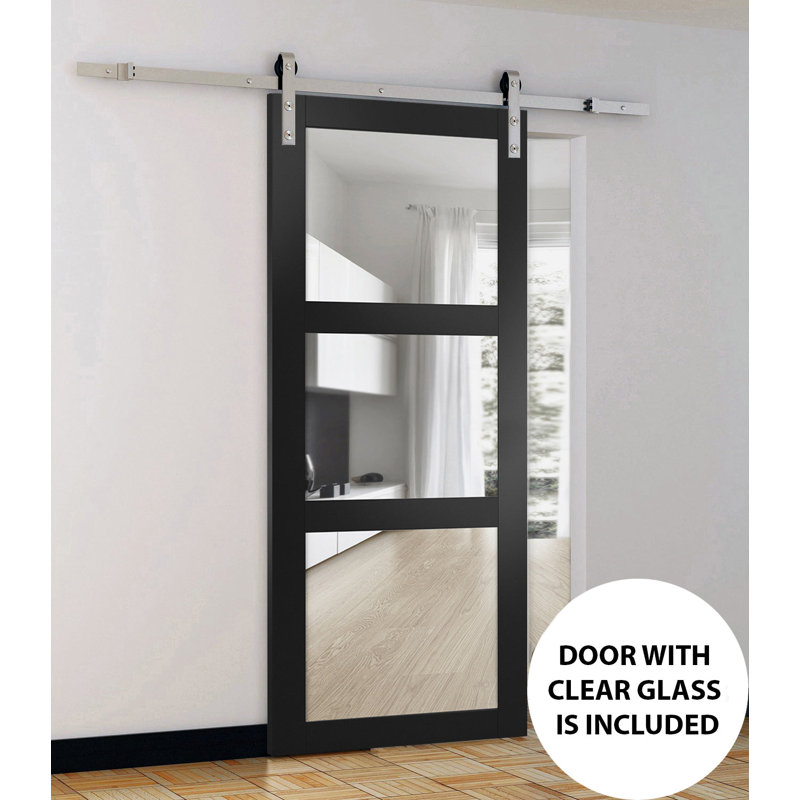 Porte de grange noire en verre transparent Lucia avec trousse de quincaillerie d'installation, L 24 po x H 84 po, Argent