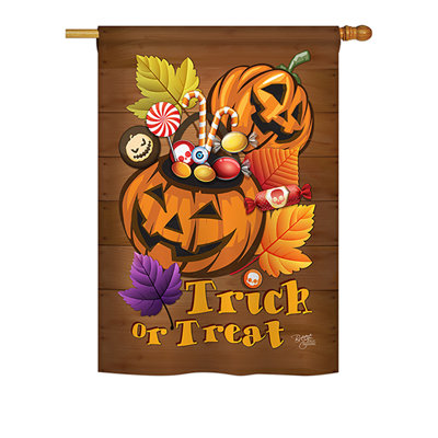 Double Sided Polyester Halloween