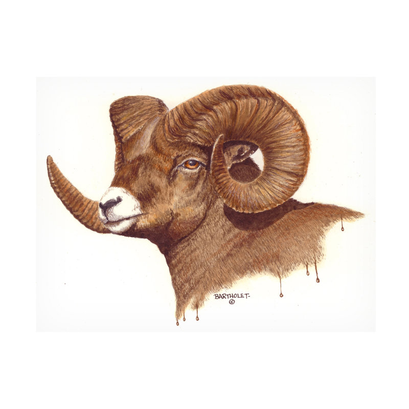 «Dave Bartholet Ram», art sur toile, H 14 po x l 19 po