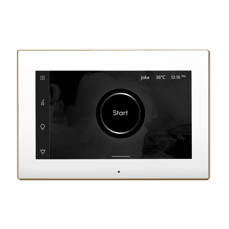 iSteamX Steam Shower Control and Steamhead, White/Polished Gold