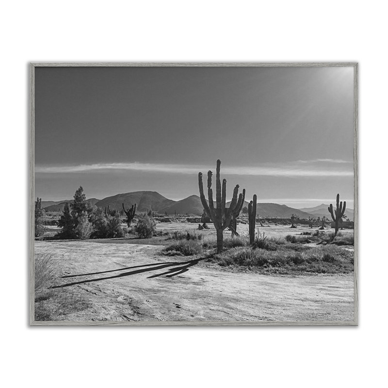 Giclée encadrée par Sun Cactus Valley, design par Norm Stelfox, H 11 po x l 14 po, Estampe numérique Farmhouse