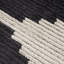 Tapis noir et ivoire moderne
