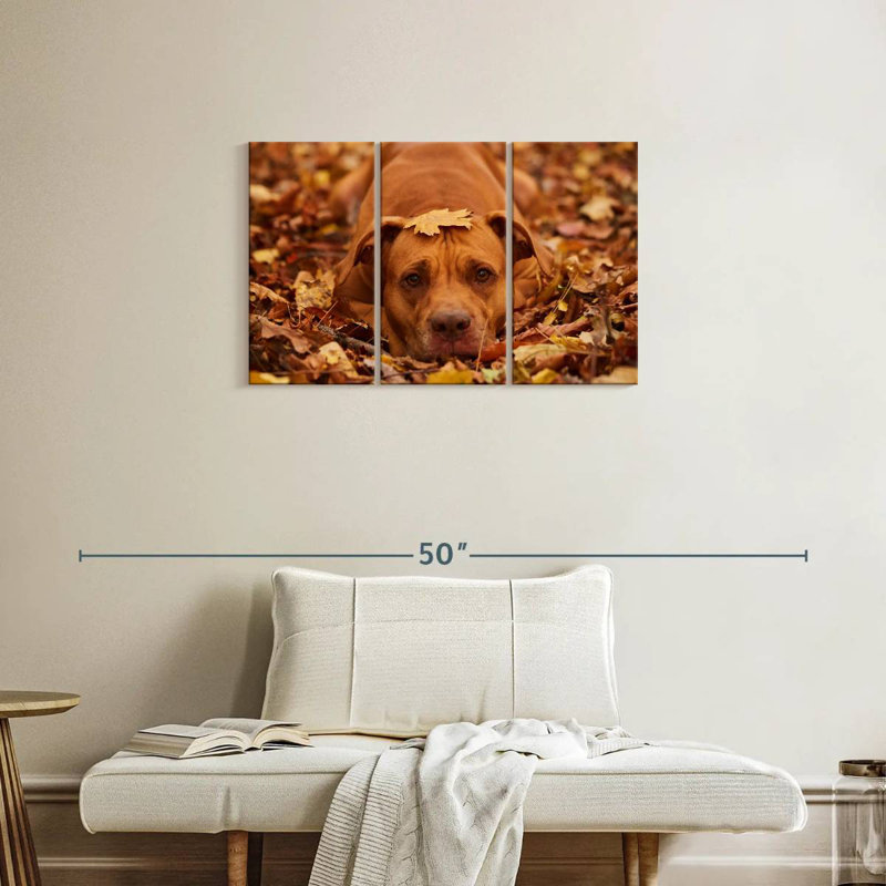 Mignon Pitbull d'automne, H 20 po x l 33 po