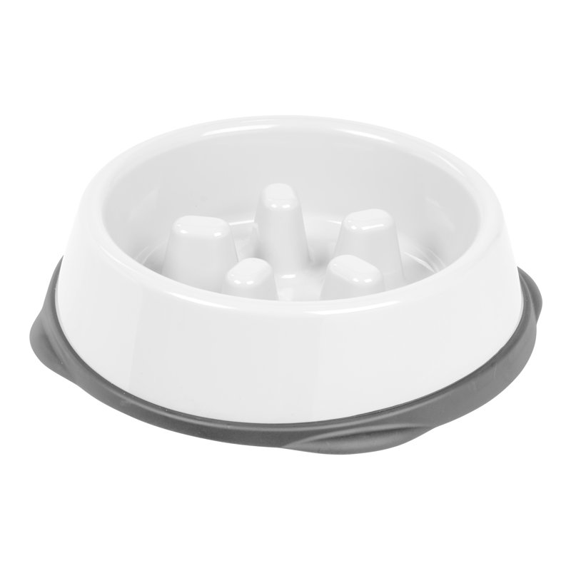 Chargeur lent IRIS, Museau court, Blanc / Gris