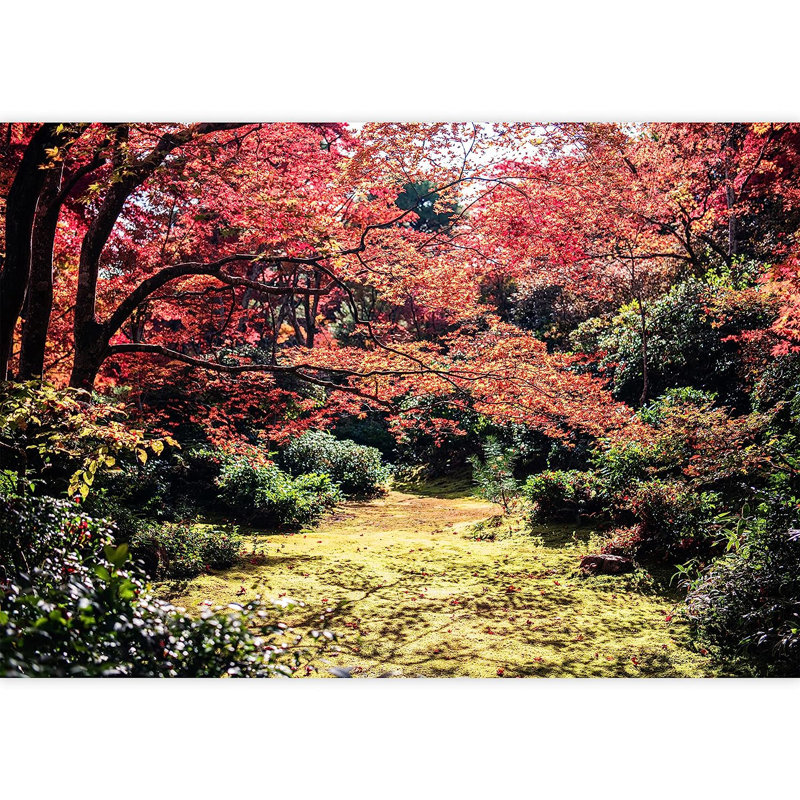 Peel & Stick Clear Border, 66" L x 96" W