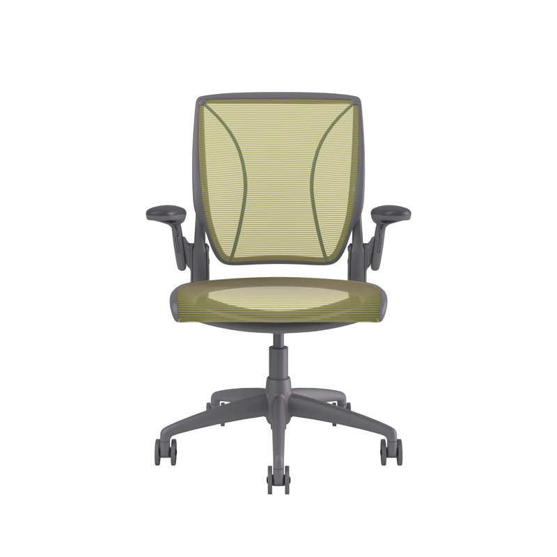 World Task Chair, Gray, Citron, Adjustable