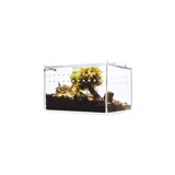Acrylic Reptile Terrarium