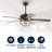 Cedarpoint 52'' Ceiling Fan with Light Kit